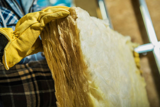Best DIY Insulation Kits and Guidance in Mountain Iron, MN