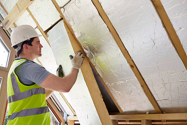 Best Specialized Insulation Services in Mountain Iron, MN